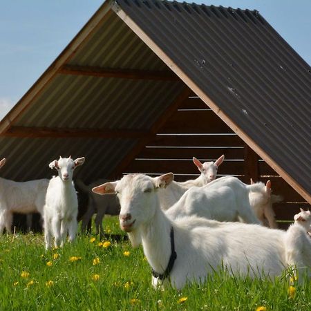 Вилла Farma Klinec Экстерьер фото