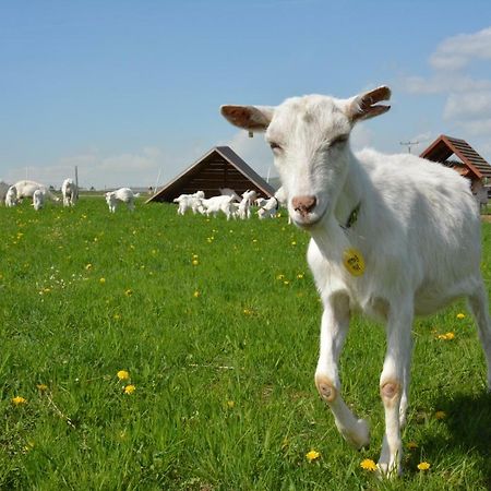Вилла Farma Klinec Экстерьер фото