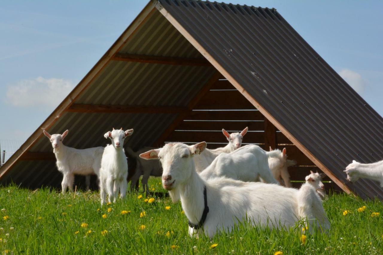 Вилла Farma Klinec Экстерьер фото